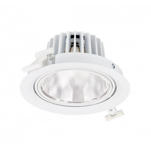 Светильник светодиодный ДВО 31 Вт 3900 лм 3000К 220-230В d190х102мм монт. d170мм IP20 поворотный средний пучок GreenSpace Accent cardanic