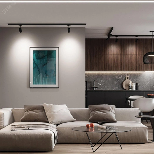 Светильник светодиодный трековый на шинопровод ДПО-40w 2700К 3600Лм трехфазный белый