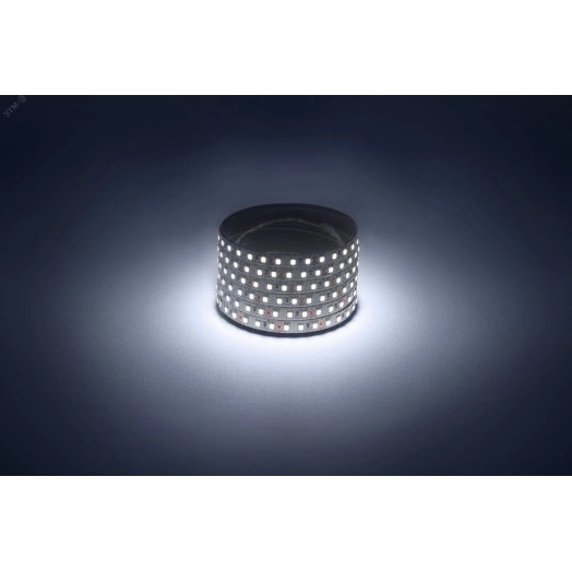 Светодиодная лента LS2835-9,6-120-12-6500K-IP20-1 year-50m холодный белый 50м