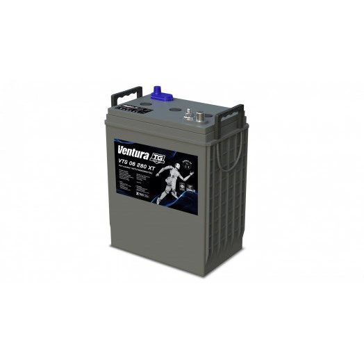 Аккумулятор 6В 245Ач