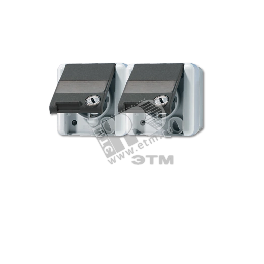 Розетка двойная горизонтальная SCHUKO 16A 250V с полем для надписи IP44