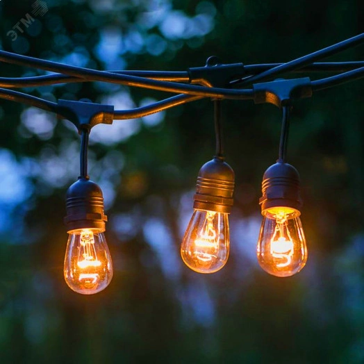 Гирлянда нить Филамент 2, 9,5 м, длина провода 60 см, 20 LED, теплый белый, E27, каучук, 220В, IP44 ERABL-FIL2 ЭРА