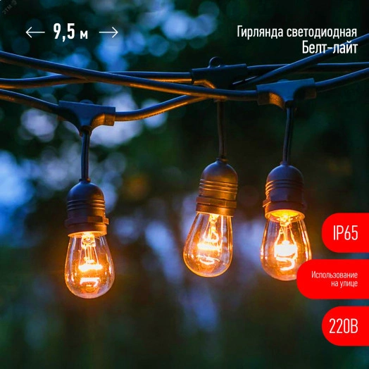 Гирлянда нить Филамент 2, 9,5 м, длина провода 60 см, 20 LED, теплый белый, E27, каучук, 220В, IP44 ERABL-FIL2 ЭРА