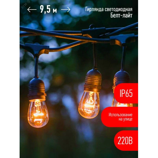 Гирлянда нить Филамент 2, 9,5 м, длина провода 60 см, 20 LED, теплый белый, E27, каучук, 220В, IP44 ERABL-FIL2 ЭРА