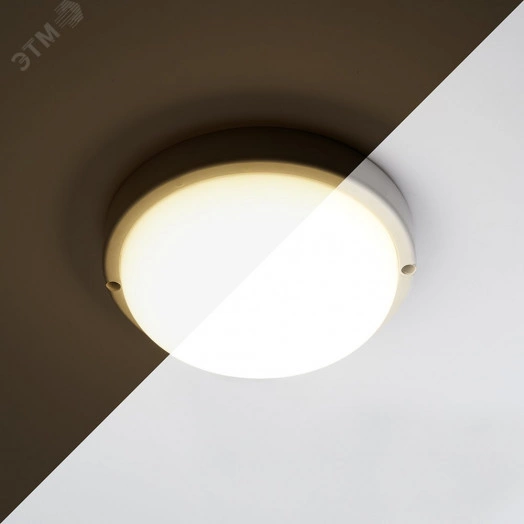 Светильник светодиодный ДБП-12w с акустическим датчиком 6500К 900Лм IP65 с дежурным режимом круглый белый