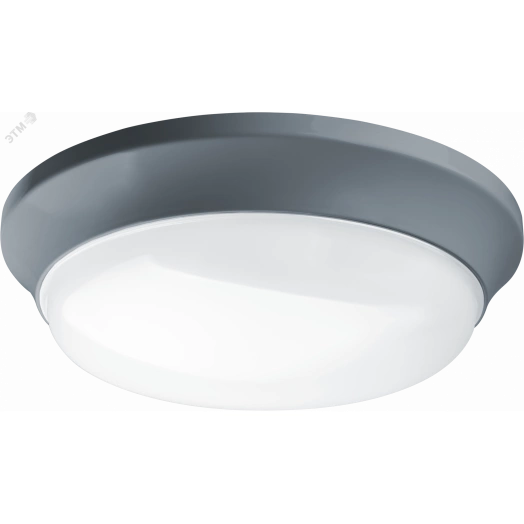 Светильник светодиодный ДПБ-01-ПП-24-GR-4К-IP65 CRI90