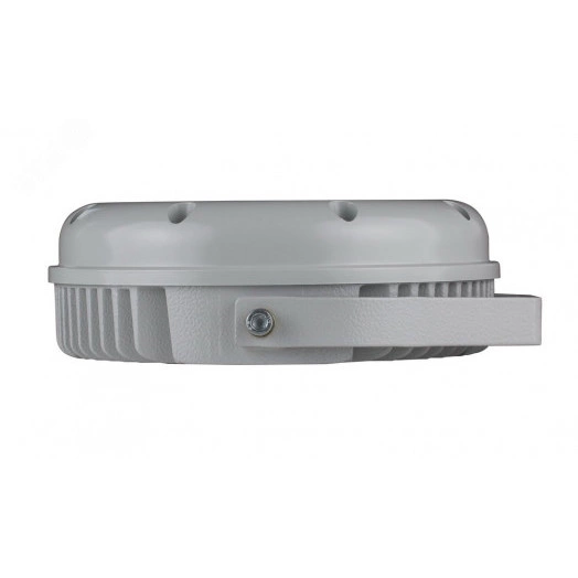 Светильник светодиодный ДО-48 Аврора LED-48-Ellipse/W3000/МG