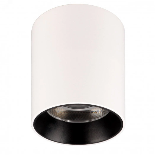 Светильник накладной светодиодный, ARTON, цилиндр, 80х80х100мм, 12Вт, 960Лм, 4200К, алюминий, белый, 59978 4, Ritter