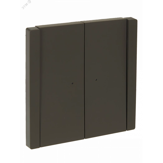 FORTE&PIANO Выключатель 2-клавишный проходной с индикацией 10А FP308 серый IEK