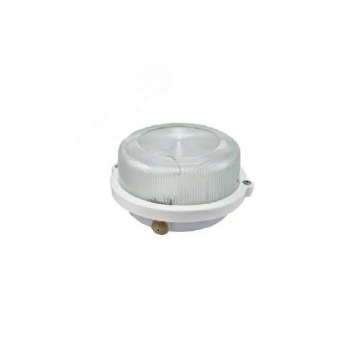 Светильник НПП-03-100-005 б/р IP54 ПК