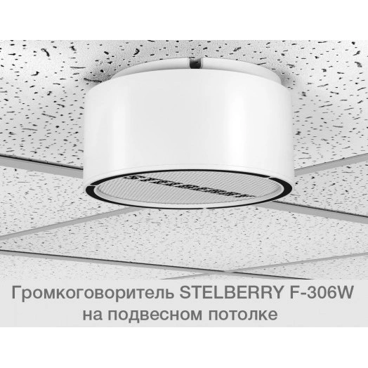 Громкоговоритель Stelberry F-306W белый           потолочно-настенный на 6 Ватт