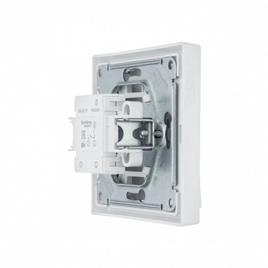 ARTGALLERY 2-клавишный выключатель, сх.5, 10АХ, механизм, белый