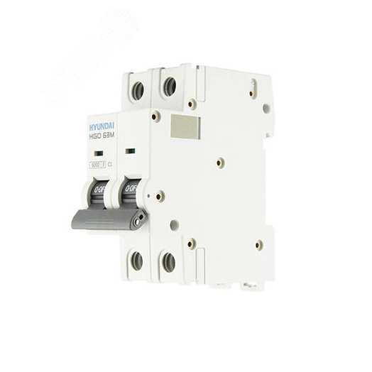 Автоматический выключатель HGD63-M 2PMCS0000C 00001 2 полюса, 1А, ток к.з. 6kA, хар-ка C (STANDARD)