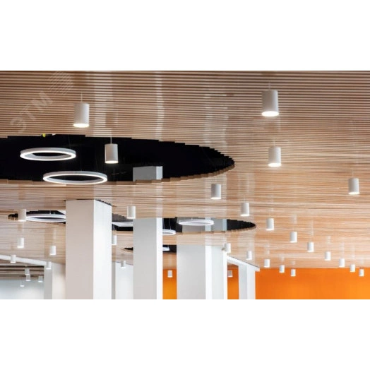 Светильник светодиодный ДСО-18Вт 3000К DL-Roll DALI черный