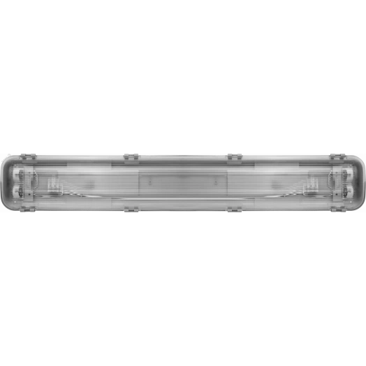 Светильник ODSP-05S-600-IP65-2xT8-G13 ОНЛАЙТ