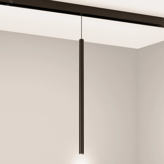 Светильник MAG-ORIENT-SPOT-HANG-L500-R20-3W Warm3000 (BK, 20 deg, 48V) (Arlight, IP20 Металл, 5 лет)