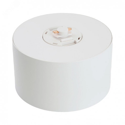 Светильник трековый на шинопровод ДПО GX70 без лампы белый