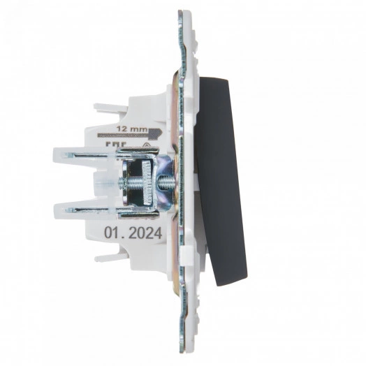 SKANDY Выключатель 1-клавишный проходной с индикацией 10А SK-V08G графит IEK