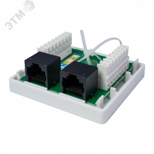 Розетка компьютерная 8P8C (RJ-45). UTP. Cat.6. 2 порта (DIY)