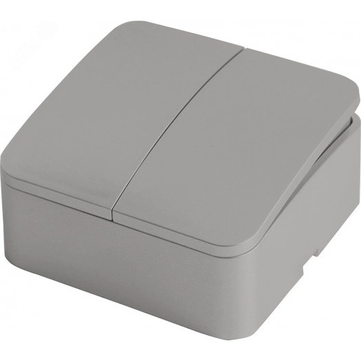 Выключатель 2-клавишный 250В 10А серия София серебро STEKKER