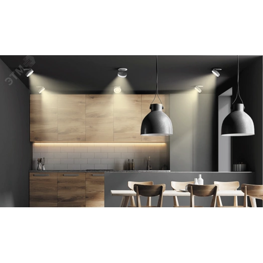 Светильник светодиодный ДВО-DL-Axel Lens 12Вт 3000K 36гр. черный