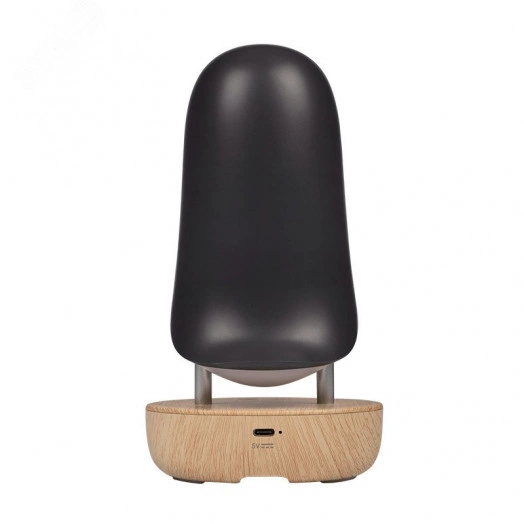 Светильник светодиодный настольный «Тукан» JS5-TOCO-BK