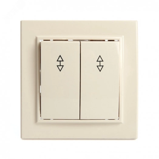 Переключатель двухклавишный, 250В, 10А, серия Эрна, слоновая кость, Stekker