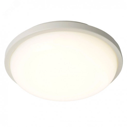 Светильник светодиодный ДБП-18w 4000К IP65 белый матовый TR Круг