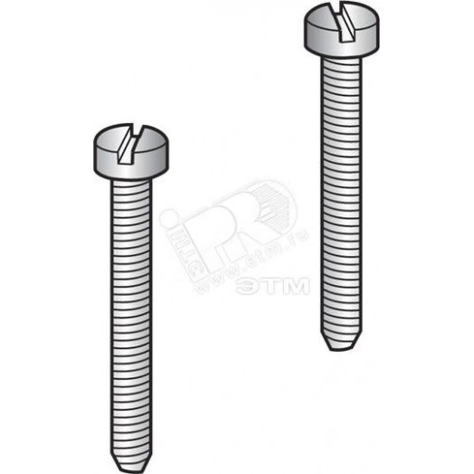 Винт к защитной этикетке VSP6 EP6/8/10