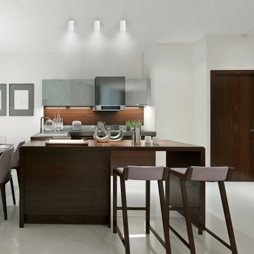 Светильник  ДБО под лампу 1хGU5.3 AC 170-240В Белый IP20 100х56х100мм Алюминий Basic Gauss