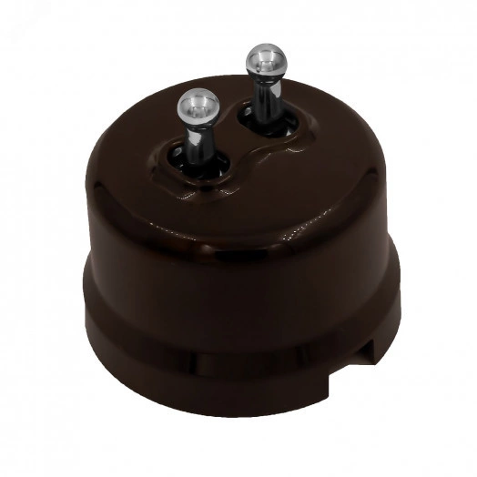 Выключатель Лизетта 2-кл., пластик, цвет Коричневый, Серебро (тумблерный)