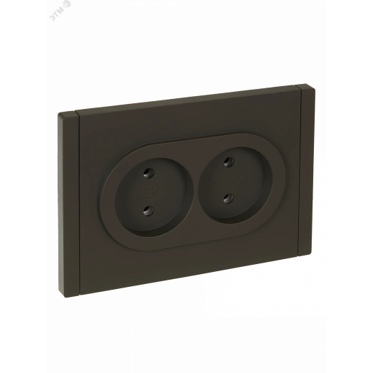 FORTE&PIANO Розетка 2-местная без заземления без защитных шторок безвинтовое крепление 10А FP326 серый IEK