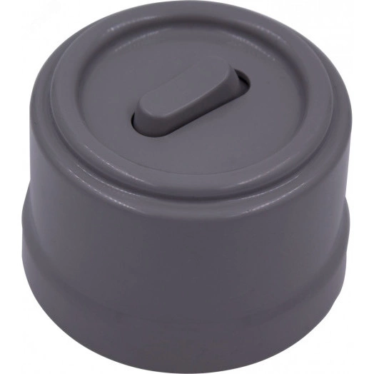 Выключатель Лизетта 1-кл. проходной, пластик, цвет Титан (клавишный)