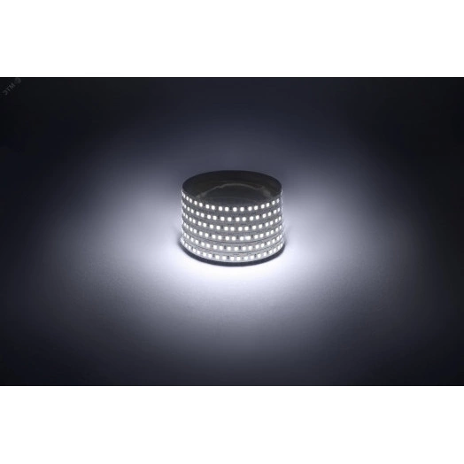 Светодиодная лента LS2835-14,4-180-12-6500K-IP20-1 year-5m холодный белый 5м