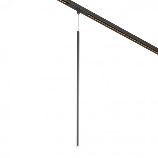 Светильник MAG-ORIENT-SPOT-HANG-L600-R12-2W Warm3000 (BK, 20 deg, 48V) (Arlight, IP20 Металл, 5 лет)