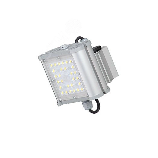 Светильник светодиодный ДО 31Вт 4500Лм 4000К IP67 (Галеон 11-30-Ш-150-ПТ/0/0-4К80-К67)