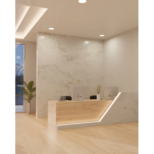 Светильник светодиодный встраиваемый ДВО 1621 со стеклом круг 12Вт 4000К IP20