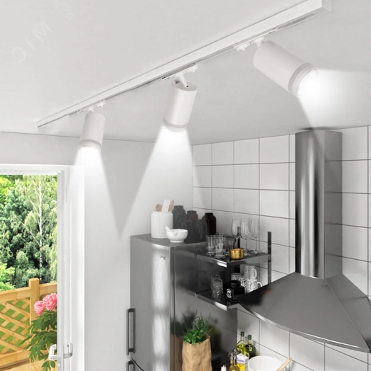 Светильник светодиодный трековый на шинопровод ДПО GX10  PTR 38 GU10 WH 230V IP20 без лампы белый корпус