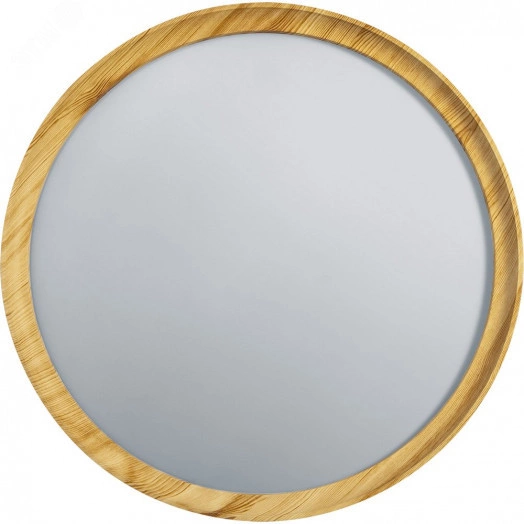 Светильник светодиодный NLF-C-024-02