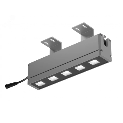 L-line 300/12/Г10х60/830/04/A1-C2/230AC IP65 MG