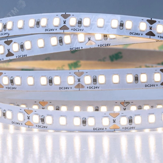 лента светодиодная A2418008-03-6K