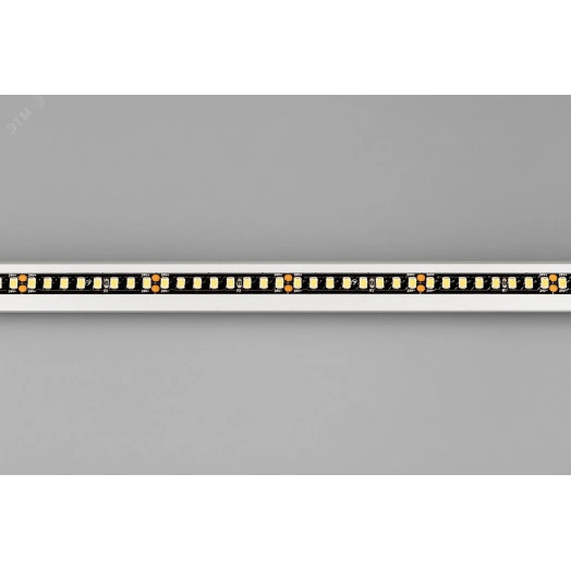 Лента RT-A160-BLACK-8mm 24V Day4000 (12 W/m, IP20, 5m) (Arlight, -)