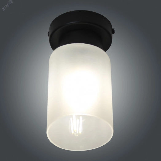 Светильник Крош 111 черн.муар (Плафон 8461) НПБ 01-60-104 Е27 ИУ