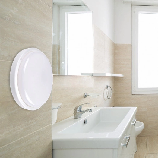 Светильник светодиодный влагозащищенный ДБП-8Вт 6500К 600Лм IP65  Jazzway