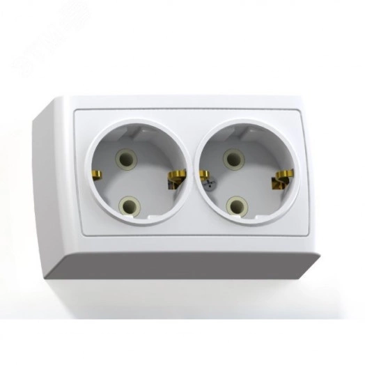 Елизавета Розетка 2 поста наружная с заземлением белый РА16-760