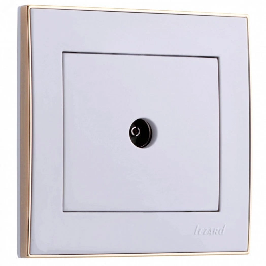 Розетка RAIN ТВ проходная белая с боковой вставкой золото