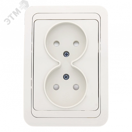 Розетка Лондон двухместная без заземления 10А белая с защитными шторками