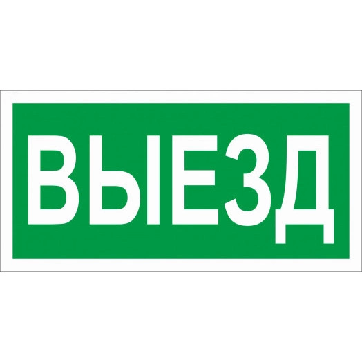 Пиктограмма ПЭУ 017 Выезд (130х260)
