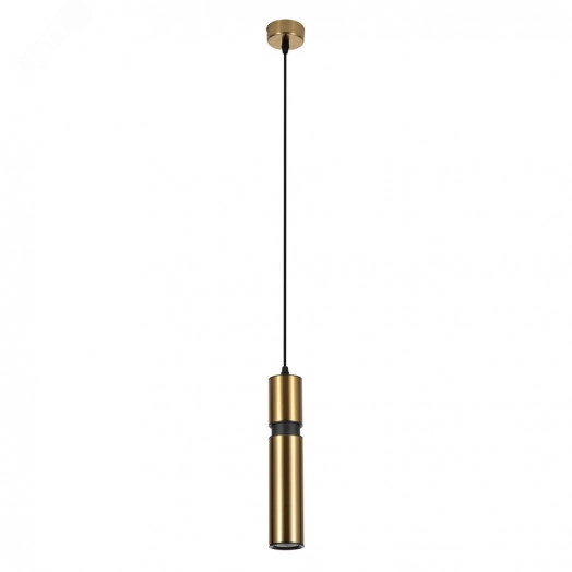 Точечный подвесной светильник ARTE LAMP RAN