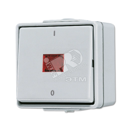 Выключатель контрольный 10АX 250V накладной IP44